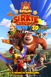 Ayı Kardeşler: Sirkte Curcuna