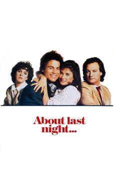 Bir Gecelik Aşk Afiş Resmi