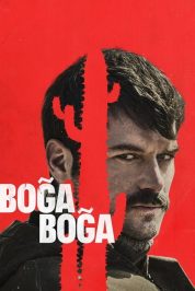 Boğa Boğa