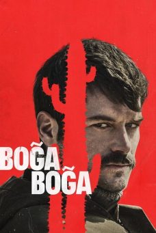 Boğa Boğa Afiş Resmi