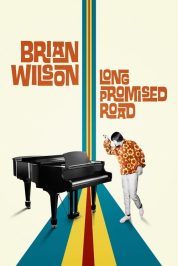 Brian Wilson: Vadedilen Uzun Yol