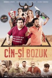 Cin-si Bozuk