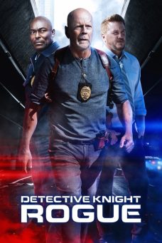 Detective Knight: Rogue Afiş Resmi