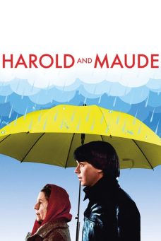 Harold ve Maude Afiş Resmi