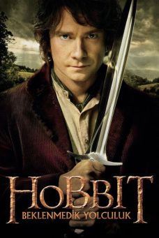 Hobbit: Beklenmedik Yolculuk Afiş Resmi