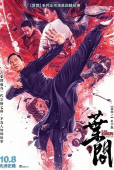 Ip Man: Kung Fu Ustası Afiş Resmi