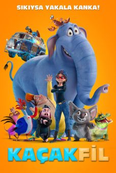 Kaçak Fil Afiş Resmi