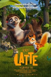 Kirpi Latte ve Büyülü Taş