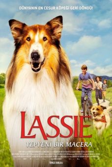 Lassie: Yepyeni Bir Macera Afiş Resmi