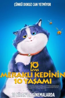 Meraklı Kedinin 10 Yaşamı Afiş Resmi
