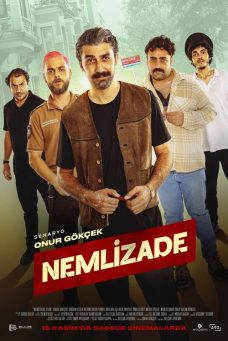 Nemlizade Afiş Resmi