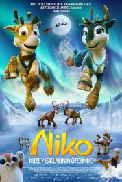 Niko: Kuzey Işıklarının Ötesinde