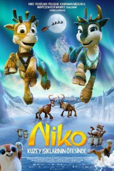 Niko: Kuzey Işıklarının Ötesinde Afiş Resmi