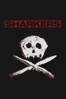 Sharkers Afiş Resmi