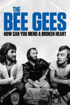 The Bee Gees: How Can You Mend a Broken Heart Afiş Resmi
