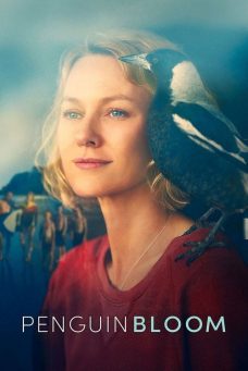 Umut Kuşu Afiş Resmi