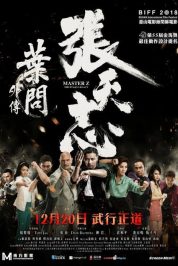 Usta Z: Ip Man’in Mirası