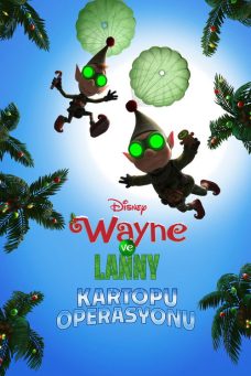 Wayne ve Lanny: Kartopu Operasyonu Afiş Resmi